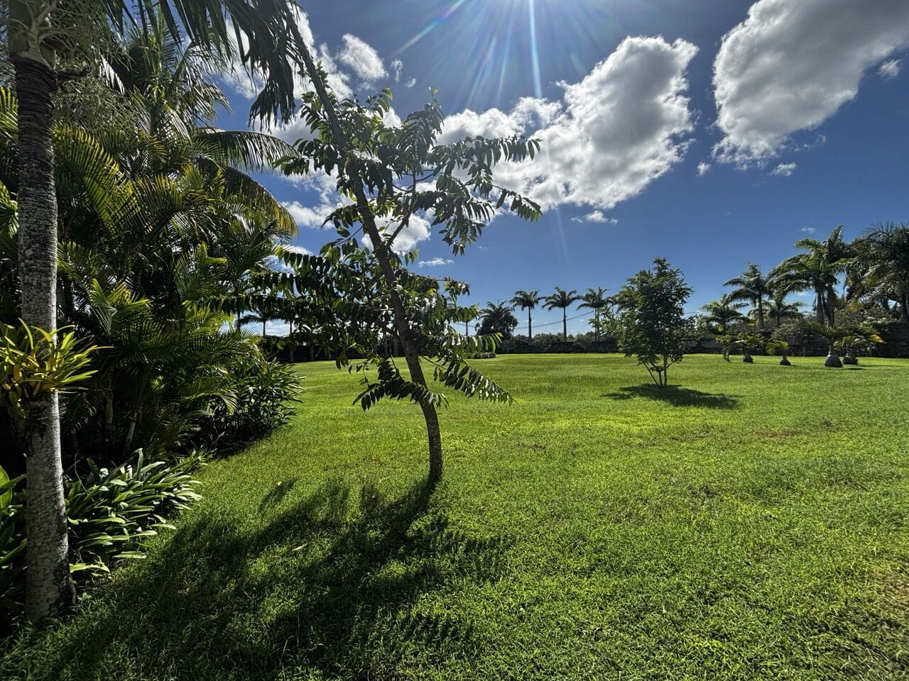 VILLA D’EXCEPTION DE 400 M² SUR 6000 M² DE JARDIN PAYSAGER – FORÊT DARUTY - Photo 4