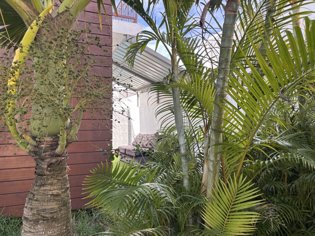 VILLA 4 CHAMBRES AVEC PISCINE ET JARDIN ARBORÉ – MORCELLEMENT BEAU MANGUIER, PÉREYBÈRE - Photo 5