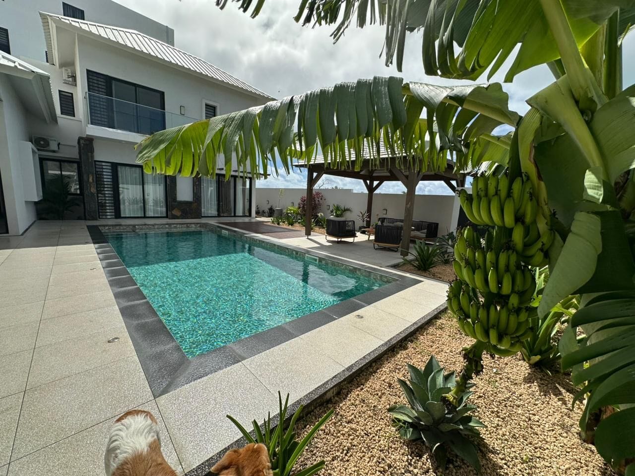 VILLA NEUVE AVEC PISCINE, KIOSQUE ET GARAGE DOUBLE TÉLÉCOMMANDÉ – GRAND BAIE - Photo principale